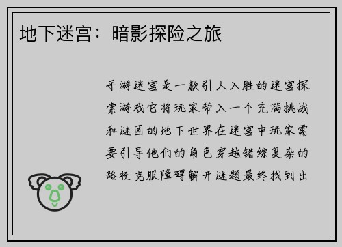 地下迷宫：暗影探险之旅